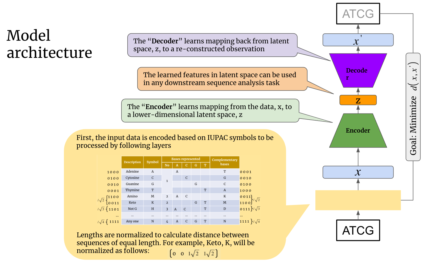 ntEmbd model architecture